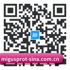 系统版 Android 二维码